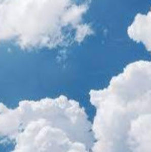 Meet your Posher, Syn